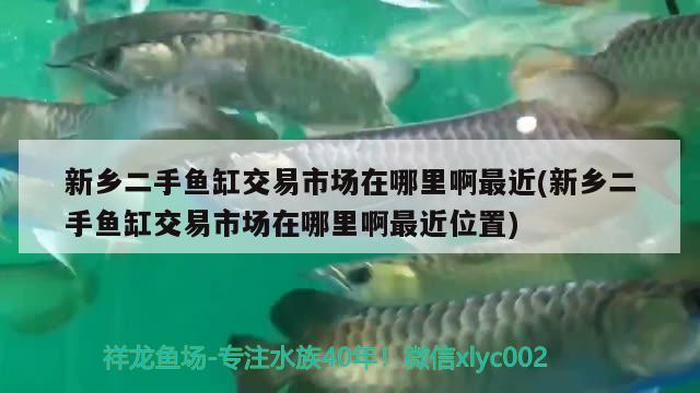 新鄉(xiāng)二手魚(yú)缸交易市場(chǎng)在哪里啊最近(新鄉(xiāng)二手魚(yú)缸交易市場(chǎng)在哪里啊最近位置)