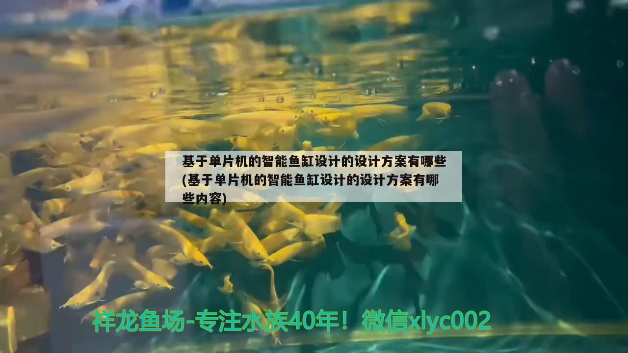 基于單片機(jī)的智能魚(yú)缸設(shè)計(jì)的設(shè)計(jì)方案有哪些(基于單片機(jī)的智能魚(yú)缸設(shè)計(jì)的設(shè)計(jì)方案有哪些內(nèi)容)