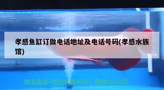 孝感魚缸訂做電話地址及電話號碼(孝感水族館) 名貴錦鯉魚