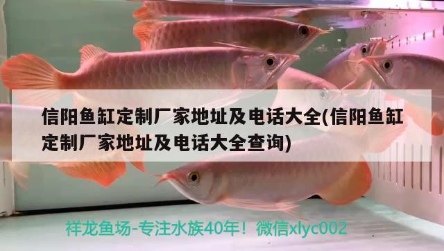 信陽魚缸定制廠家地址及電話大全(信陽魚缸定制廠家地址及電話大全查詢)