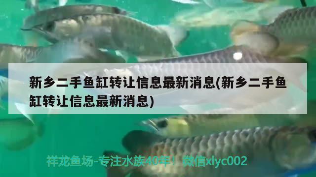 新鄉(xiāng)二手魚(yú)缸轉(zhuǎn)讓信息最新消息(新鄉(xiāng)二手魚(yú)缸轉(zhuǎn)讓信息最新消息)