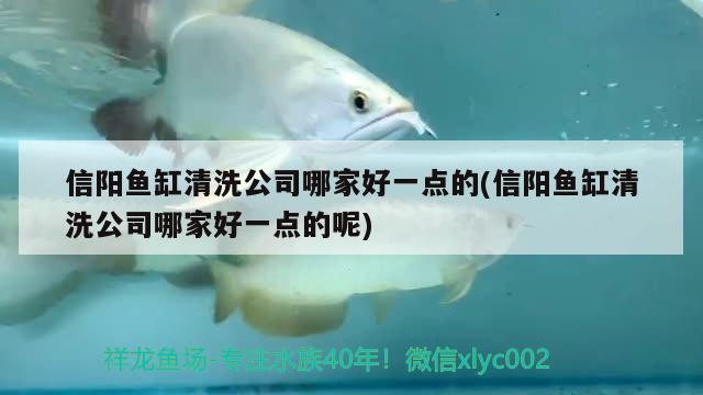 信陽魚缸清洗公司哪家好一點(diǎn)的(信陽魚缸清洗公司哪家好一點(diǎn)的呢)