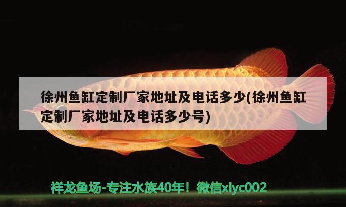 徐州魚缸定制廠家地址及電話多少(徐州魚缸定制廠家地址及電話多少號(hào))