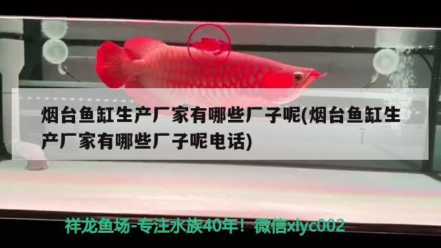 煙臺(tái)魚(yú)缸生產(chǎn)廠家有哪些廠子呢(煙臺(tái)魚(yú)缸生產(chǎn)廠家有哪些廠子呢電話)