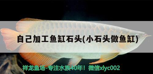 自己加工魚缸石頭(小石頭做魚缸)