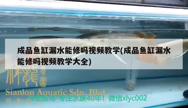 成品魚缸漏水能修嗎視頻教學(xué)(成品魚缸漏水能修嗎視頻教學(xué)大全)