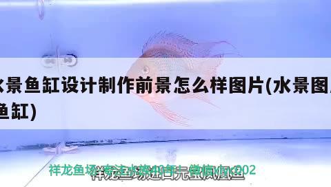 水景魚缸設計制作前景怎么樣圖片(水景圖片魚缸)