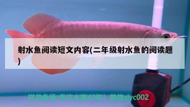 射水魚閱讀短文內(nèi)容(二年級(jí)射水魚的閱讀題) 觀賞魚