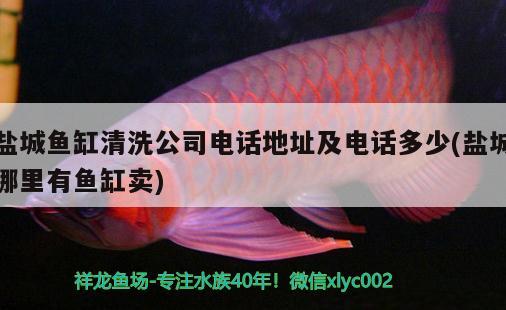 鹽城魚缸清洗公司電話地址及電話多少(鹽城哪里有魚缸賣)