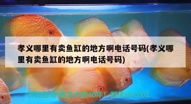 孝義哪里有賣魚缸的地方啊電話號碼(孝義哪里有賣魚缸的地方啊電話號碼)