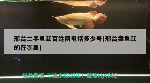 邢臺二手魚缸百姓網(wǎng)電話多少號(邢臺賣魚缸的在哪里)