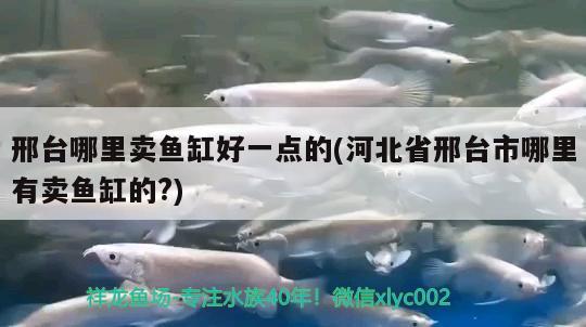 邢臺哪里賣魚缸好一點的(河北省邢臺市哪里有賣魚缸的?)