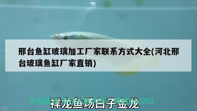 邢臺魚缸玻璃加工廠家聯(lián)系方式大全(河北邢臺玻璃魚缸廠家直銷)