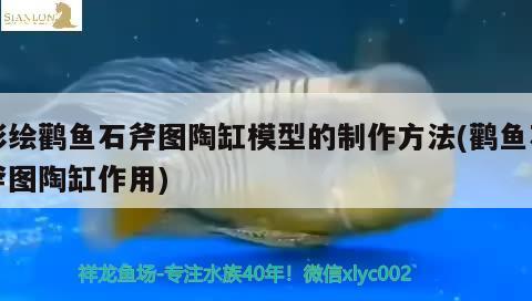 彩繪鸛魚(yú)石斧圖陶缸模型的制作方法(鸛魚(yú)石斧圖陶缸作用)