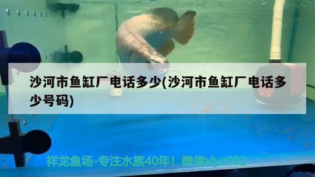 沙河市魚缸廠電話多少(沙河市魚缸廠電話多少號碼)