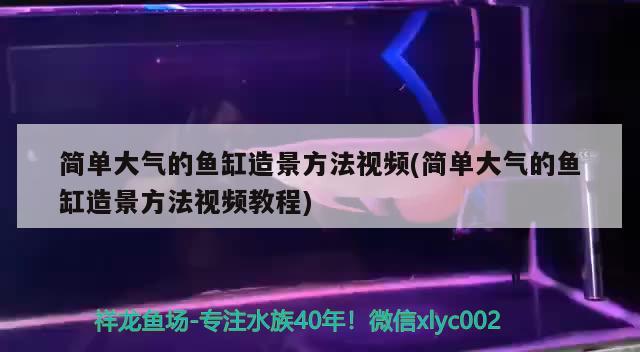 簡單大氣的魚缸造景方法視頻(簡單大氣的魚缸造景方法視頻教程) 雙線側(cè)魚