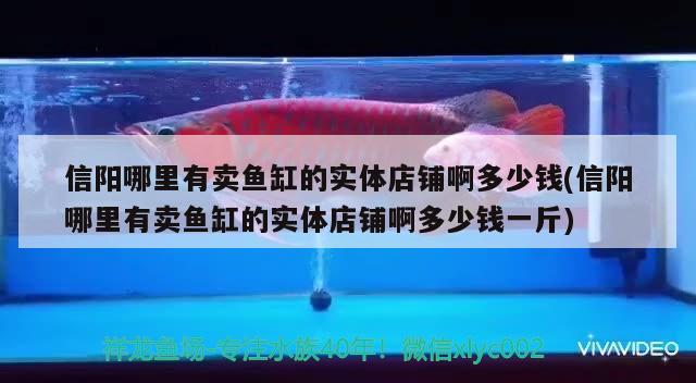 信陽哪里有賣魚缸的實體店鋪啊多少錢(信陽哪里有賣魚缸的實體店鋪啊多少錢一斤)