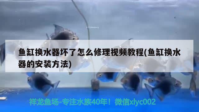 魚缸換水器壞了怎么修理視頻教程(魚缸換水器的安裝方法) 充氧泵