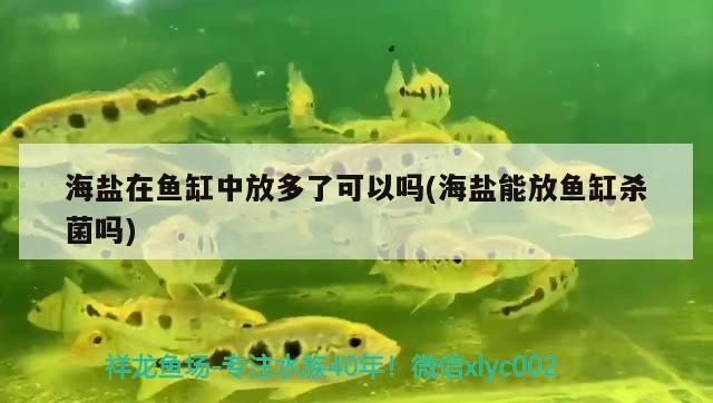 海鹽在魚缸中放多了可以嗎(海鹽能放魚缸殺菌嗎) 觀賞魚企業(yè)目錄