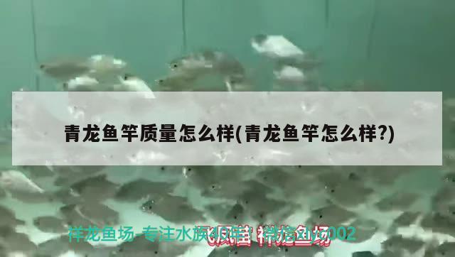 青龍魚竿質(zhì)量怎么樣(青龍魚竿怎么樣?) 垂釣樂園