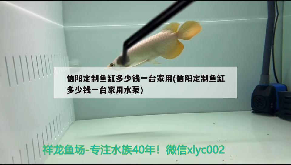 信陽定制魚缸多少錢一臺家用(信陽定制魚缸多少錢一臺家用水泵)