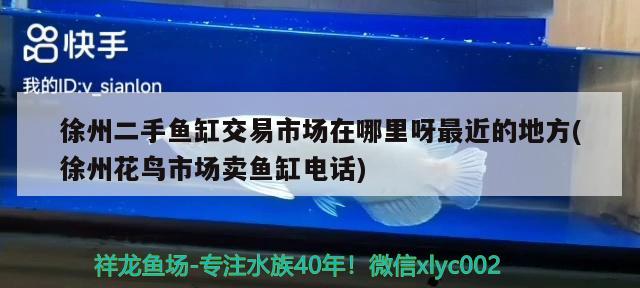 徐州二手魚缸交易市場在哪里呀最近的地方(徐州花鳥市場賣魚缸電話)