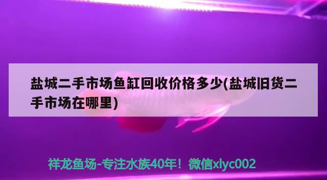 鹽城二手市場魚缸回收價(jià)格多少(鹽城舊貨二手市場在哪里) 黃金眼鏡蛇雷龍魚