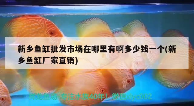 新鄉(xiāng)魚缸批發(fā)市場在哪里有啊多少錢一個(gè)(新鄉(xiāng)魚缸廠家直銷)