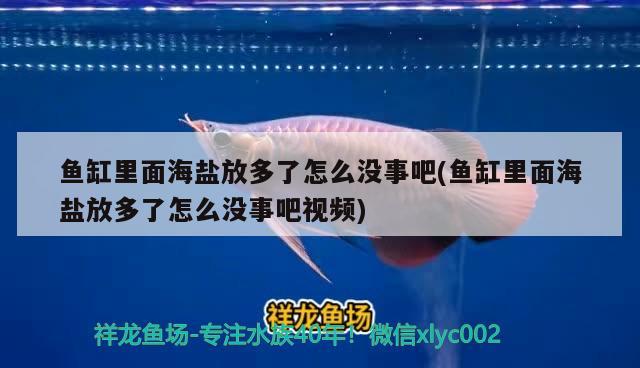 魚缸里面海鹽放多了怎么沒事吧(魚缸里面海鹽放多了怎么沒事吧視頻) 羽毛刀魚苗