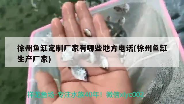 徐州魚缸定制廠家有哪些地方電話(徐州魚缸生產廠家)