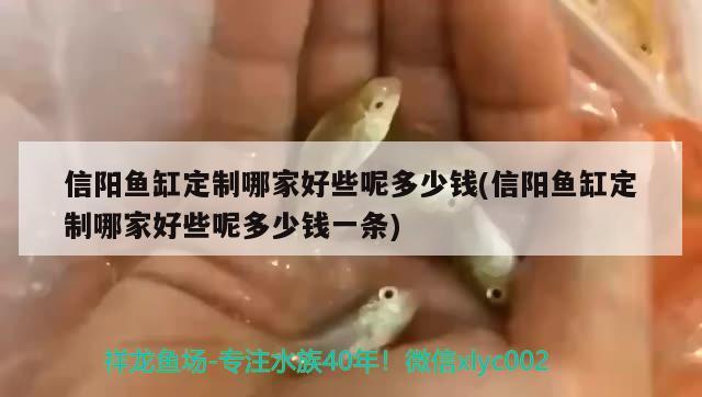 許昌哪里有賣魚缸的地方呀圖片(許昌哪里有批發(fā)魚的)