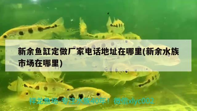 新余魚(yú)缸定做廠(chǎng)家電話(huà)地址在哪里(新余水族市場(chǎng)在哪里)