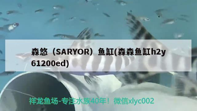 森悠（SARYOR）魚缸(森森魚缸h2y61200ed)