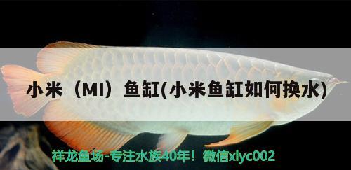 小米（MI）魚缸(小米魚缸如何換水)