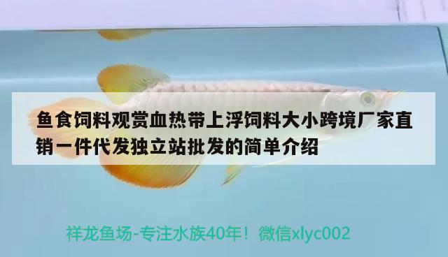 魚食飼料觀賞血熱帶上浮飼料大小跨境廠家直銷一件代發(fā)獨立站批發(fā)的簡單介紹 觀賞魚批發(fā)