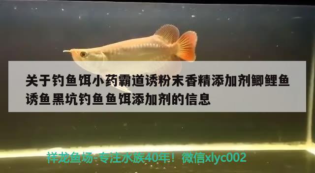 關(guān)于釣魚餌小藥霸道誘粉末香精添加劑鯽鯉魚誘魚黑坑釣魚魚餌添加劑的信息 垂釣樂(lè)園