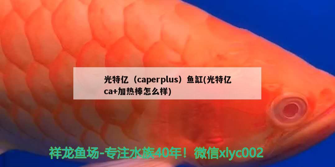 光特億（caperplus）魚缸(光特億ca+加熱棒怎么樣)