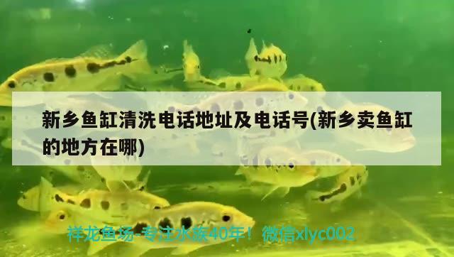 新鄉(xiāng)魚缸清洗電話地址及電話號(新鄉(xiāng)賣魚缸的地方在哪)