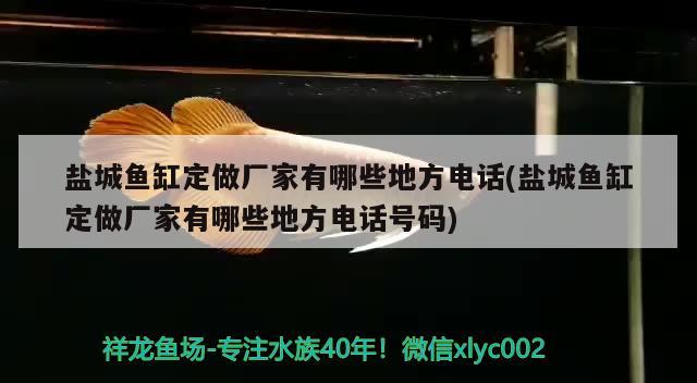 鹽城魚缸定做廠家有哪些地方電話(鹽城魚缸定做廠家有哪些地方電話號(hào)碼)