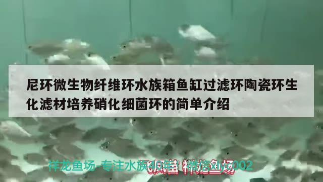 尼環(huán)微生物纖維環(huán)水族箱魚缸過濾環(huán)陶瓷環(huán)生化濾材培養(yǎng)硝化細菌環(huán)的簡單介紹 硝化細菌