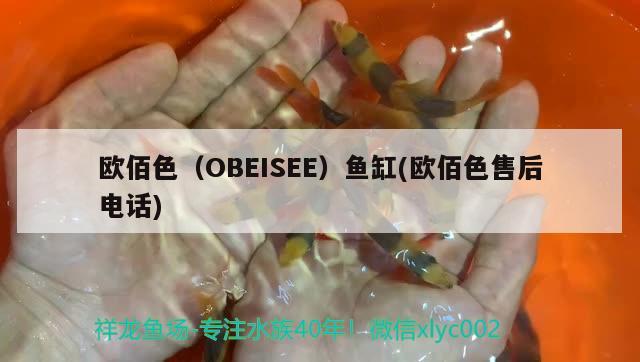 歐佰色（OBEISEE）魚缸(歐佰色售后電話) 其他品牌魚缸