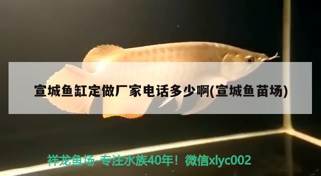 宣城魚缸定做廠家電話多少啊(宣城魚苗場)