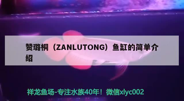 贊璐桐（ZANLUTONG）魚缸的簡單介紹 其他品牌魚缸