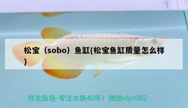 松寶（sobo）魚缸(松寶魚缸質(zhì)量怎么樣) 其他品牌魚缸