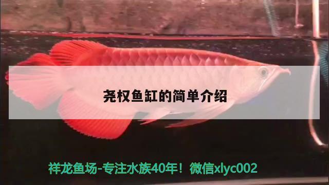 堯權魚缸的簡單介紹