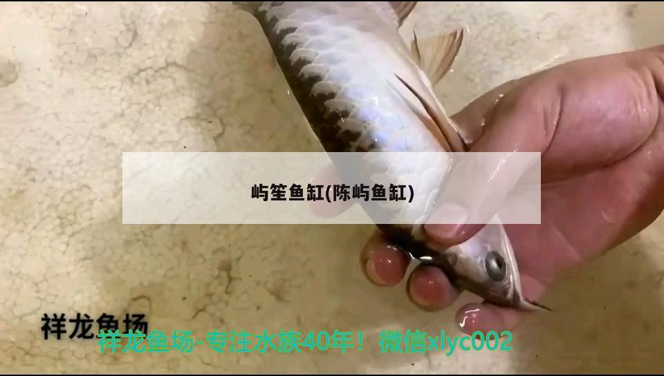 嶼笙魚缸(陳嶼魚缸) 其他品牌魚缸