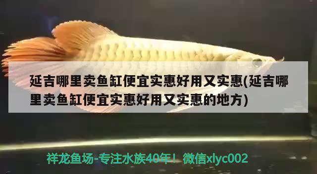 延吉哪里賣魚(yú)缸便宜實(shí)惠好用又實(shí)惠(延吉哪里賣魚(yú)缸便宜實(shí)惠好用又實(shí)惠的地方) 觀賞龜/鱉飼料