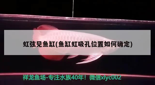 虹弦見魚缸(魚缸虹吸孔位置如何確定) 其他品牌魚缸