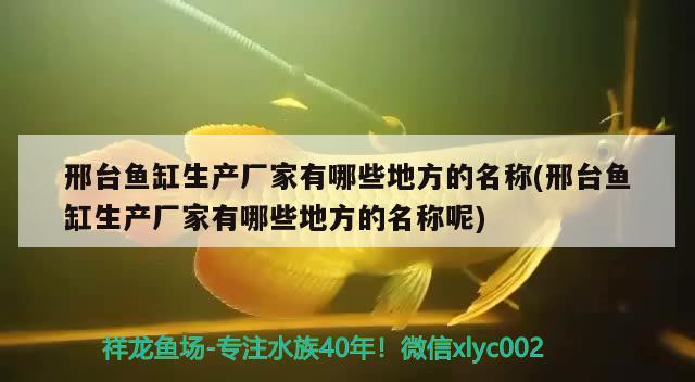 邢臺魚缸生產廠家有哪些地方的名稱(邢臺魚缸生產廠家有哪些地方的名稱呢)