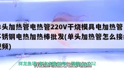 單頭加熱管電熱管220V干燒模具電加熱管不銹鋼電熱加熱棒批發(fā)(單頭加熱管怎么接線視頻) 定時(shí)器/自控系統(tǒng)